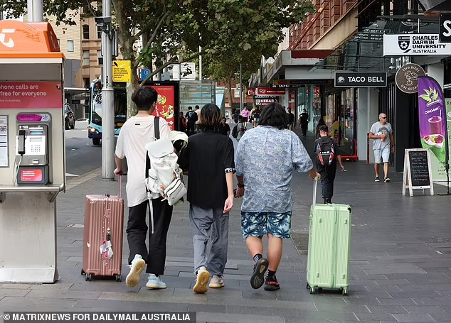 几周之内预计将有约5万名中国学生入境澳大利亚