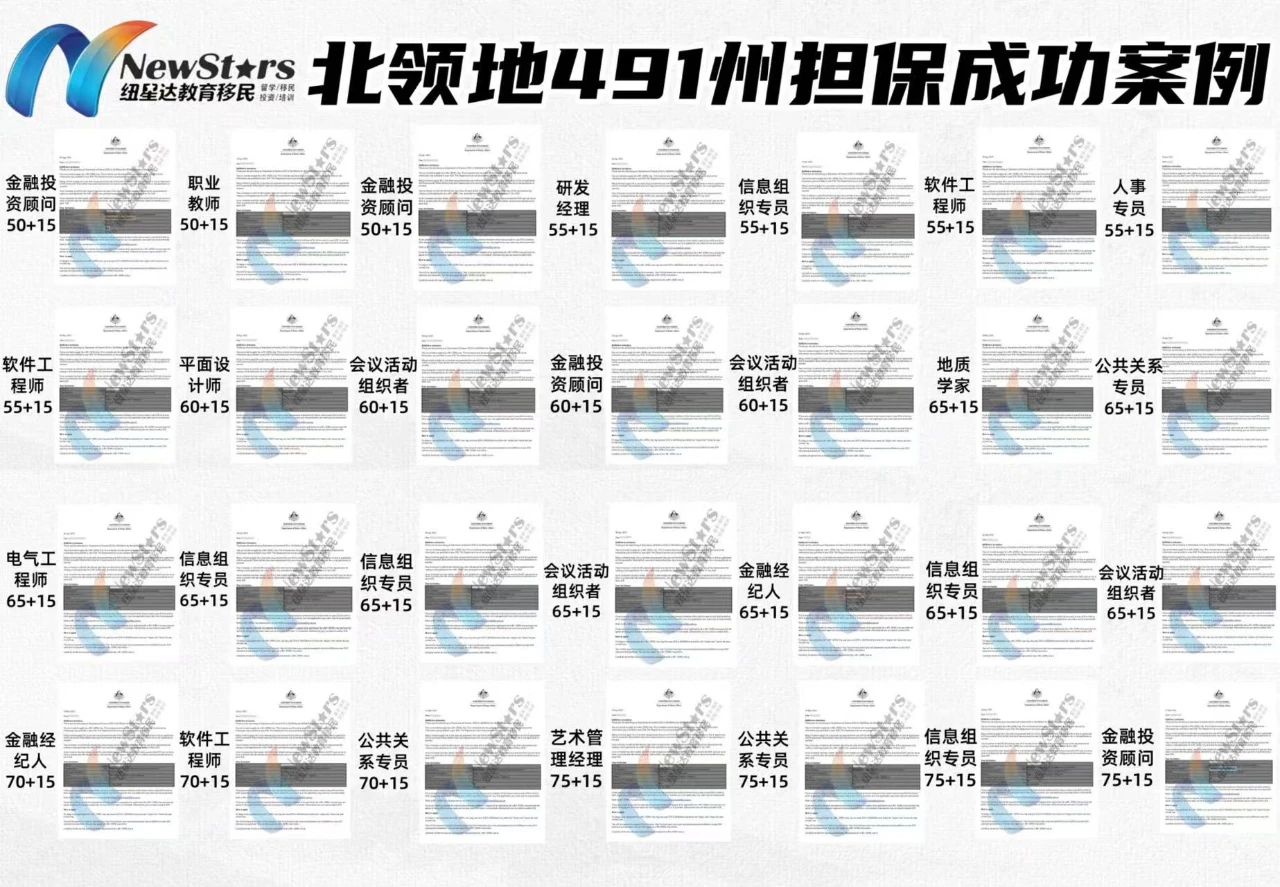 成功案例